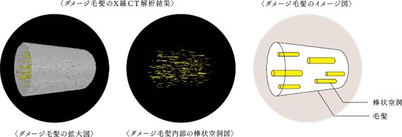 棒状空洞化１